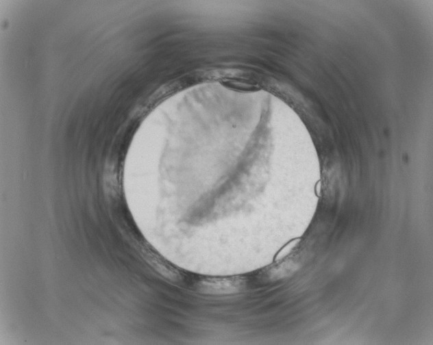 X0000064040381200602242326