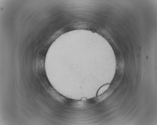 X0000064040382200602242327