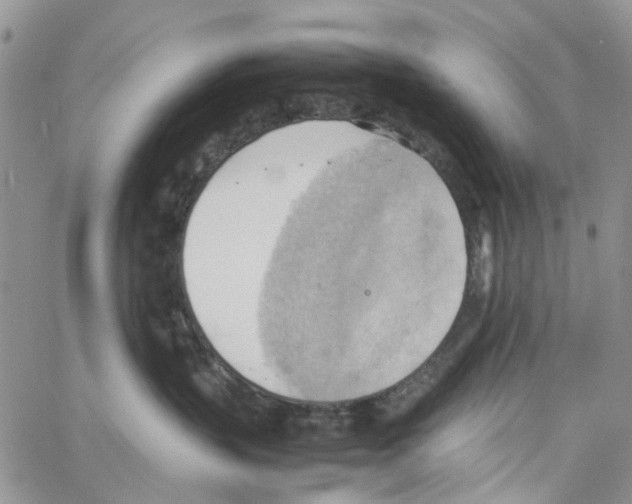 X0000064040383200602242327