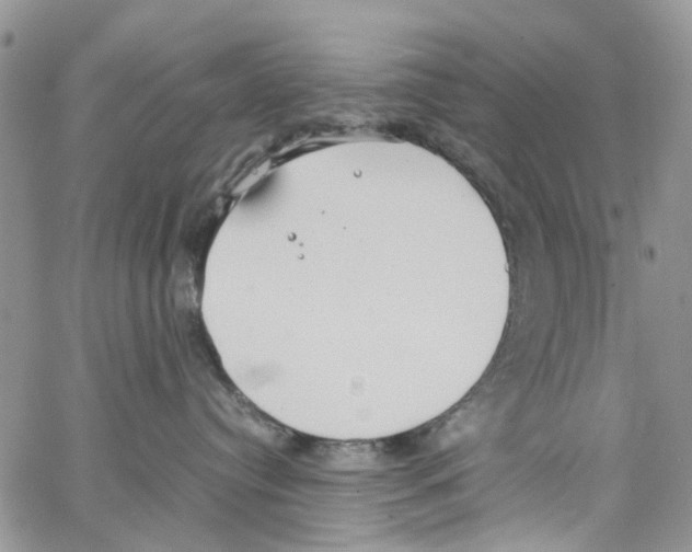 X0000064040384200602242327