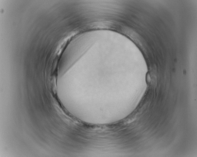 X0000064040386200602242326