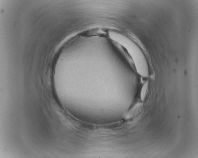 X0000064040387200602242326