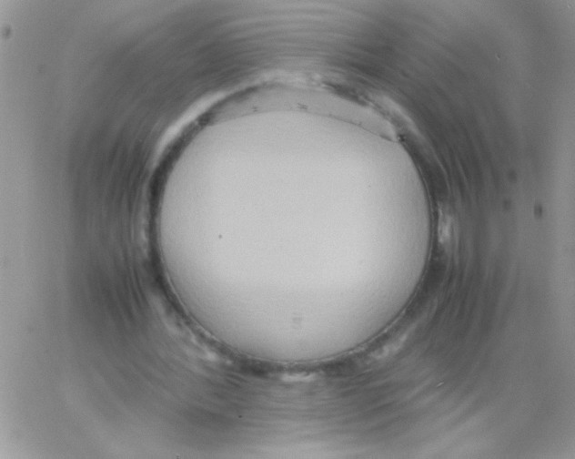 X0000064040388200602242326