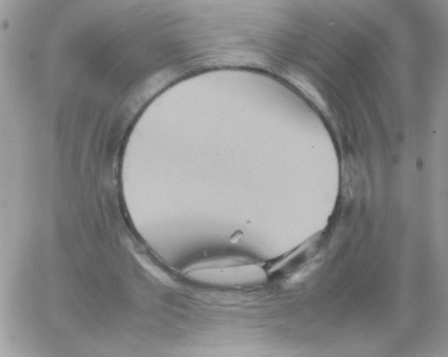 X0000064040389200602242326