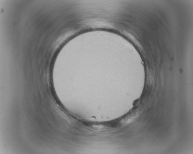 X0000064040391200602242326