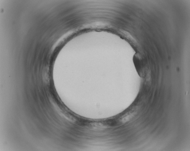 X0000064040392200602242326