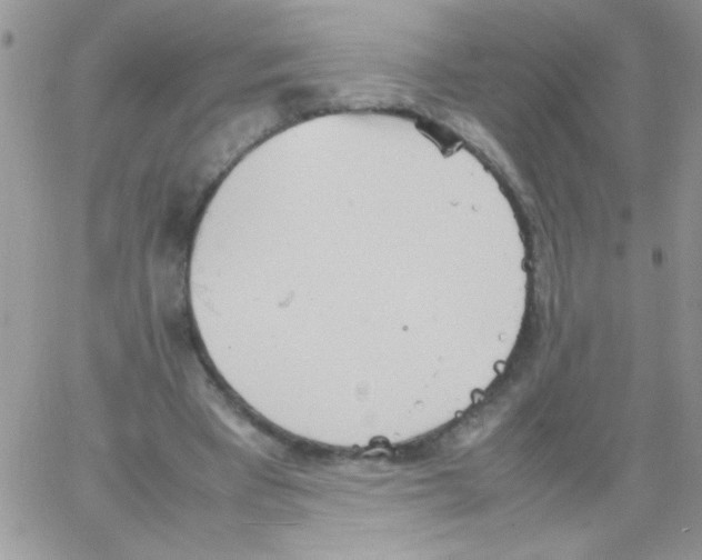 X0000064040393200602242326