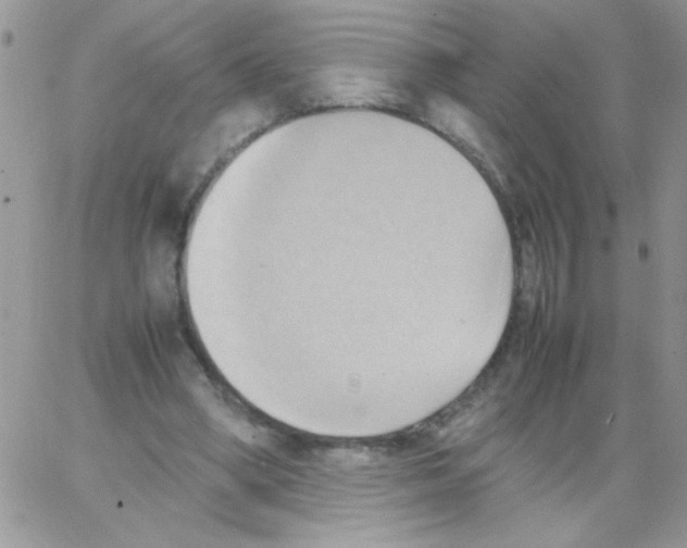 X0000064040394200602242326