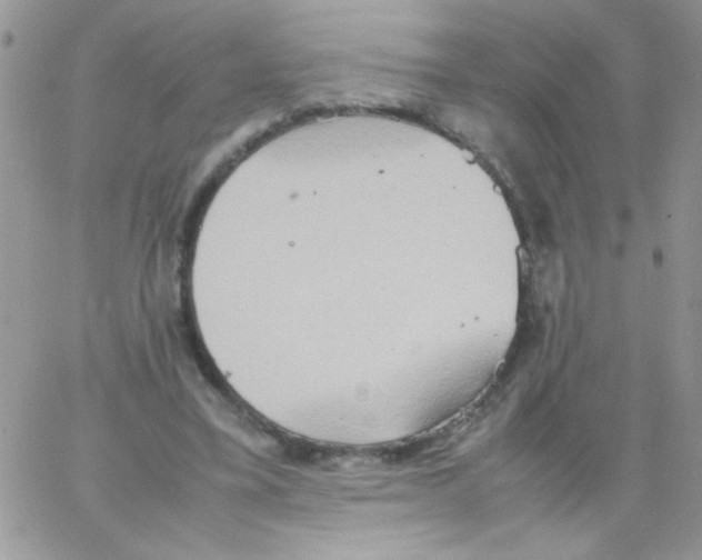 X0000064040395200602242326