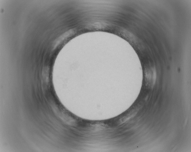 X0000064040396200602242326