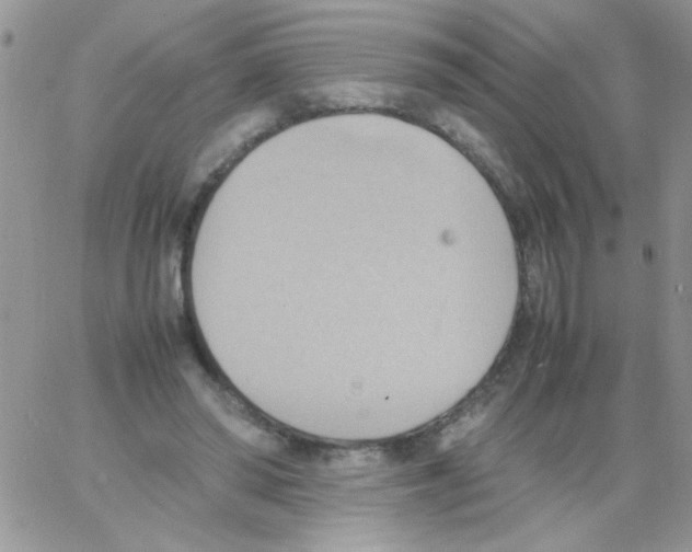 X0000064040398200602242326