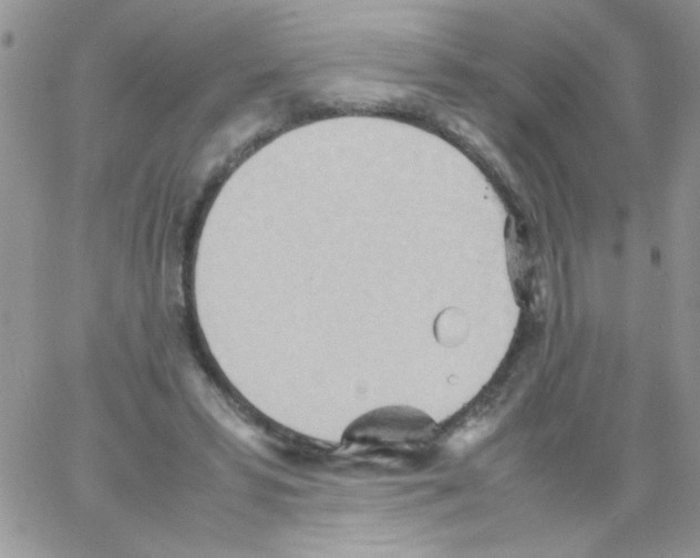 X0000064040399200602242326