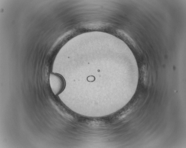 X0000064040400200602242326