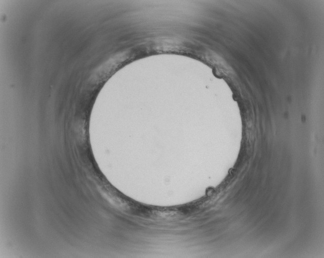 X0000064040401200602242326