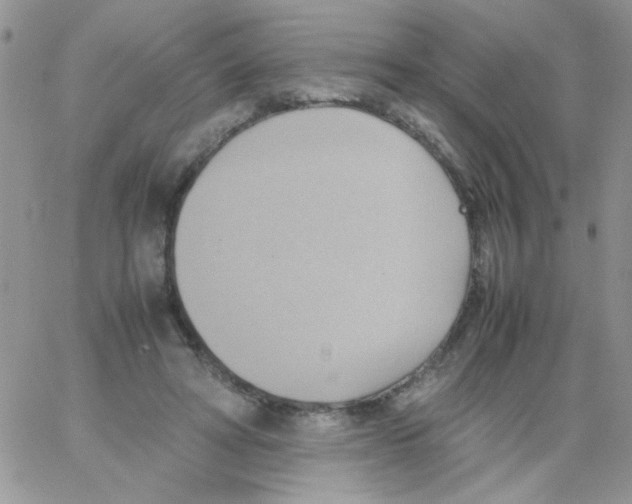 X0000064040402200602242325