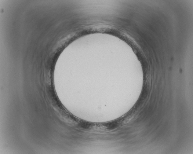 X0000064040403200602242325