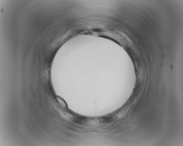 X0000064040405200602242325