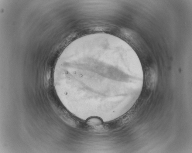 X0000064040406200602242325