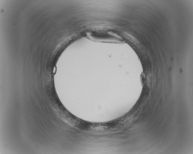 X0000064040407200602242325