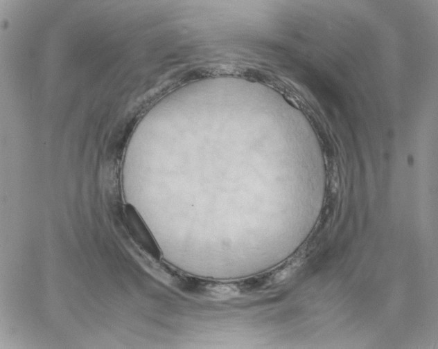 X0000064040409200602242325