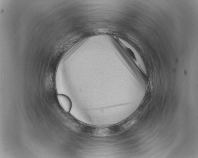 X0000064040410200602242325