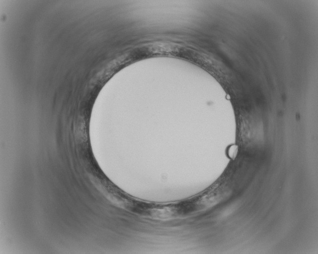 X0000064040411200602242325