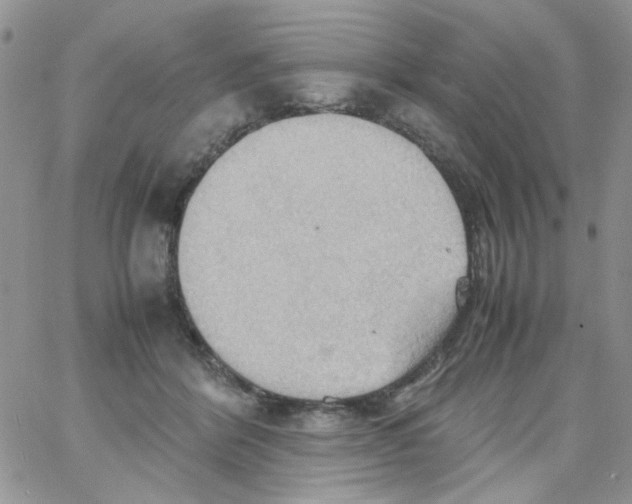 X0000064040412200602242325