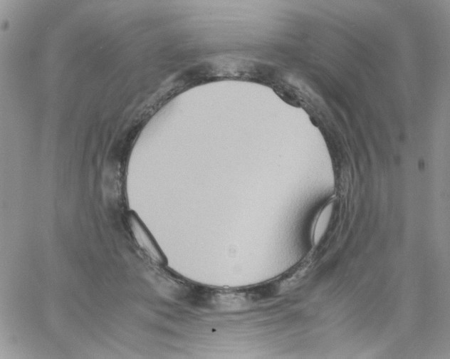 X0000064040413200602242325