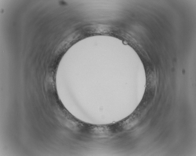 X0000064040415200602242325