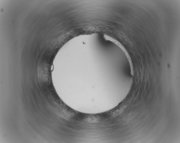 X0000064040416200602242325