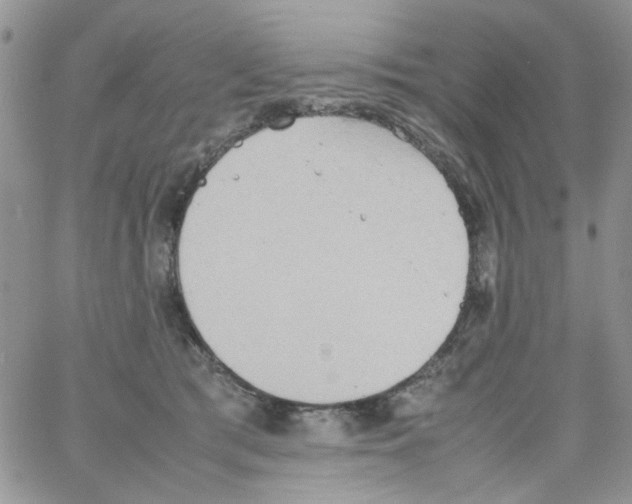 X0000064040417200602242325