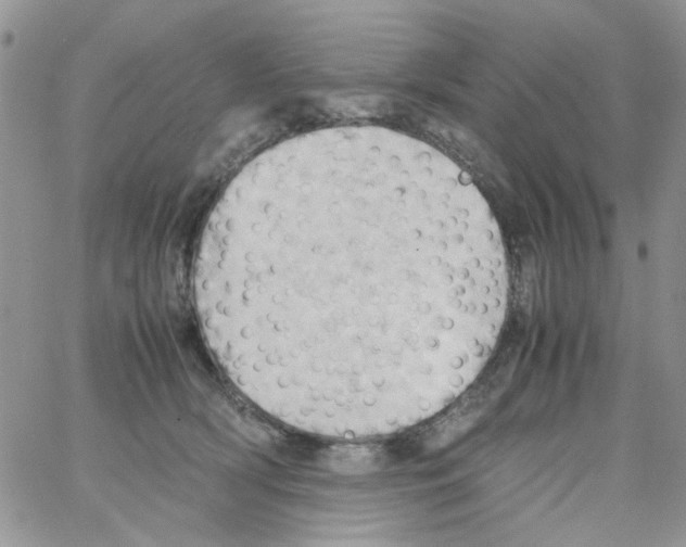 X0000064040418200602242325