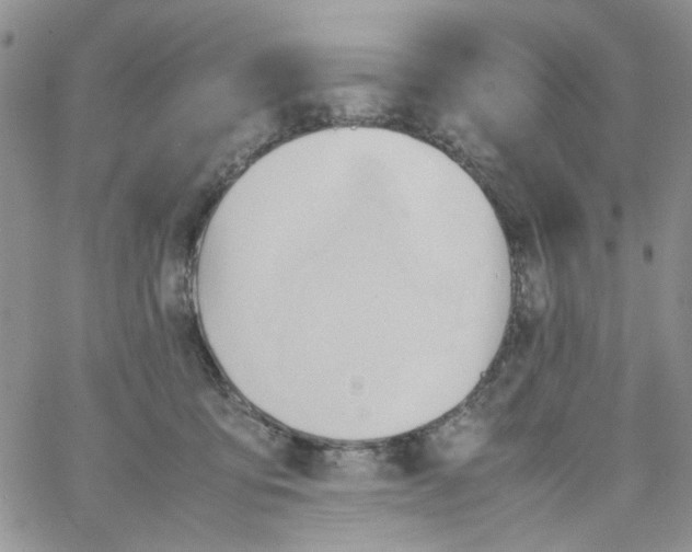 X0000064040419200602242325