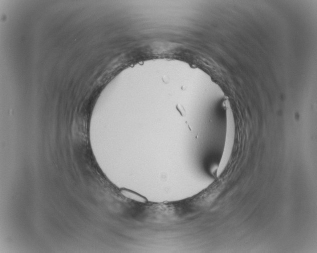 X0000064040421200602242325