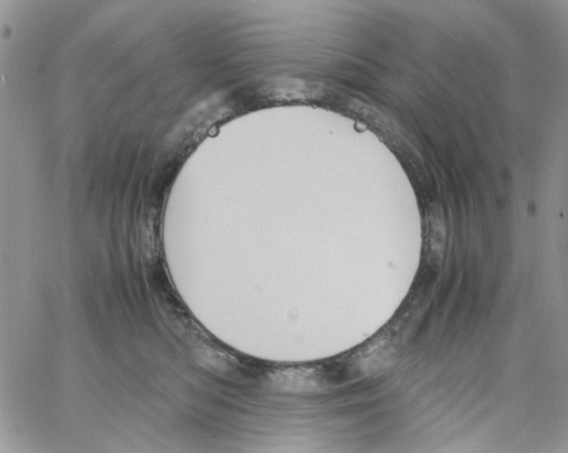 X0000064040422200602242325