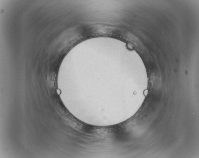 X0000064040423200602242325