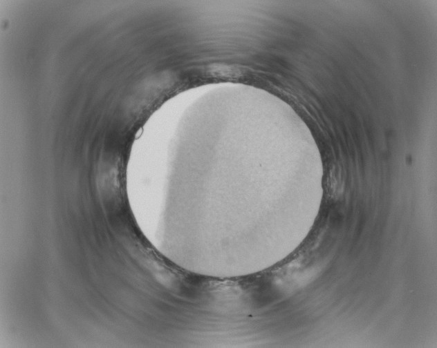 X0000064040424200602242325