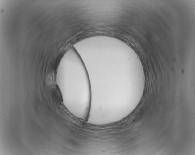 X0000064040425200602242325