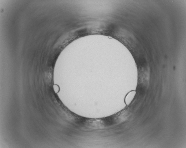 X0000064040427200602242325