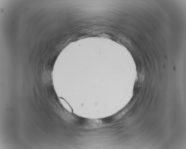 X0000064040429200602242325