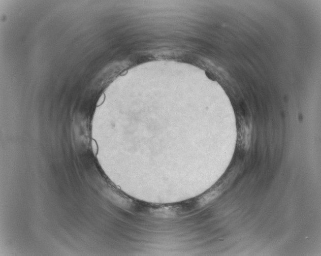 X0000064040430200602242325