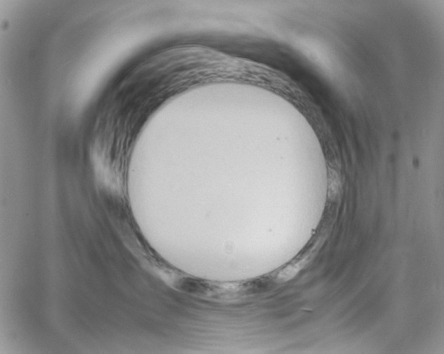 X0000064040431200602242325