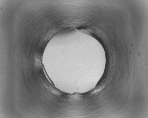 X0000064040432200602242325