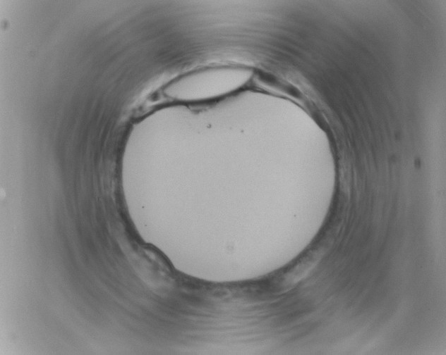 X0000064040434200602242324