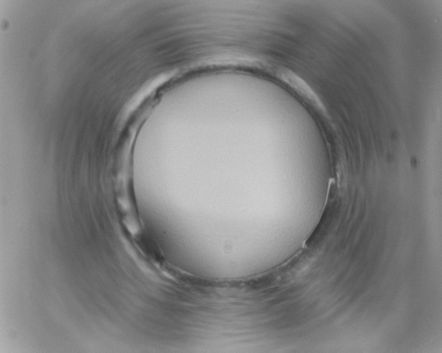 X0000064040436200602242324