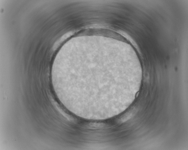 X0000064040437200602242324