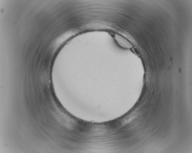 X0000064040438200602242324