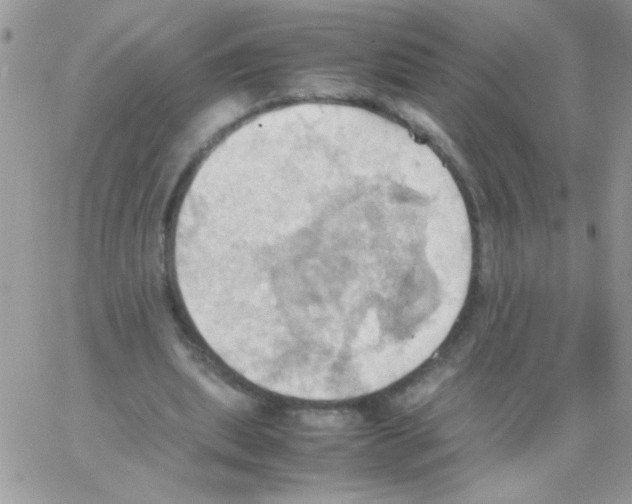 X0000064040439200602242324