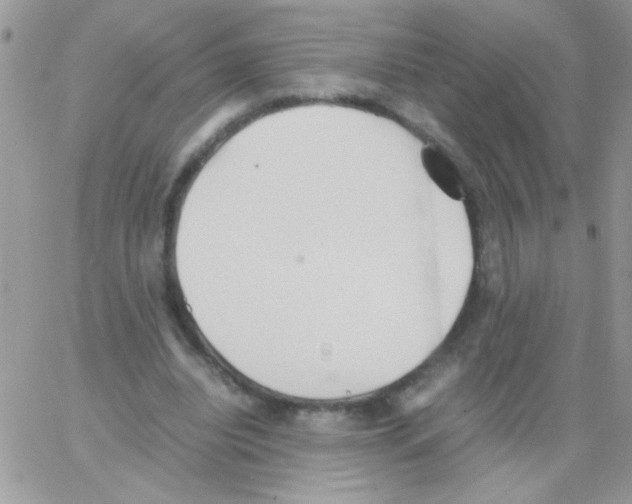 X0000064040440200602242324