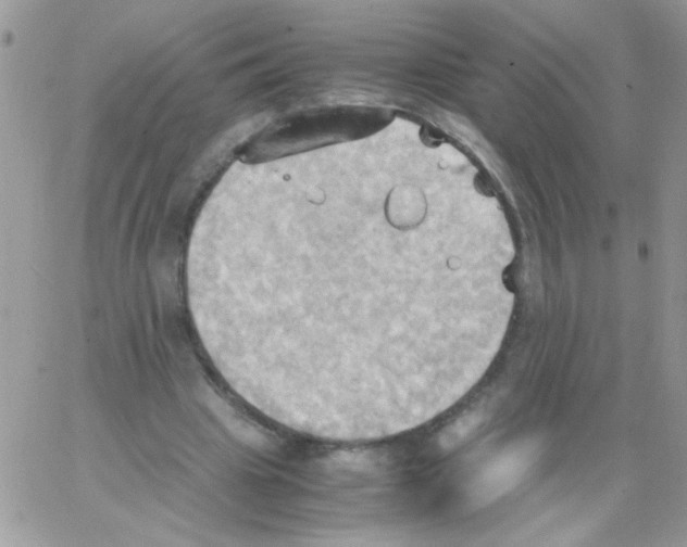 X0000064040441200602242324